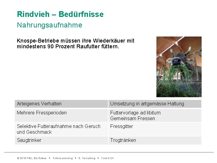 Rindvieh – Bedürfnisse Nahrungsaufnahme Knospe-Betriebe müssen ihre Wiederkäuer mit mindestens 90 Prozent Raufutter füttern.