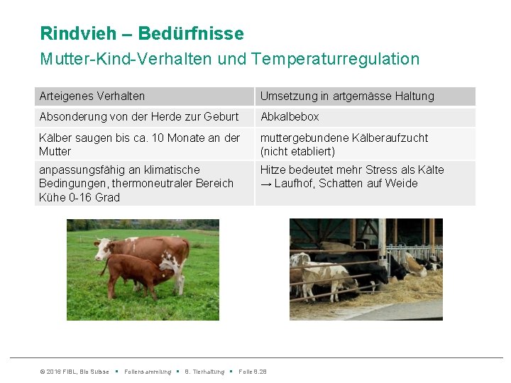 Rindvieh – Bedürfnisse Mutter-Kind-Verhalten und Temperaturregulation Arteigenes Verhalten Umsetzung in artgemässe Haltung Absonderung von