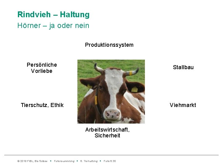 Rindvieh – Haltung Hörner – ja oder nein Produktionssystem Persönliche Vorliebe Stallbau Tierschutz, Ethik