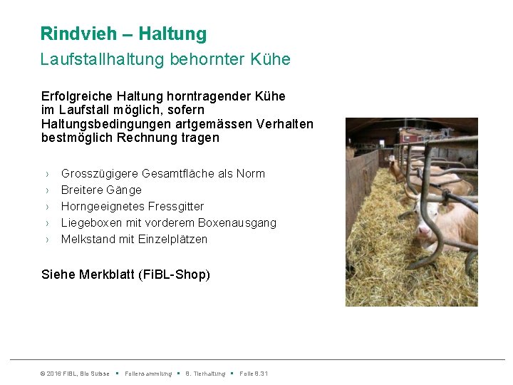 Rindvieh – Haltung Laufstallhaltung behornter Kühe Erfolgreiche Haltung horntragender Kühe im Laufstall möglich, sofern