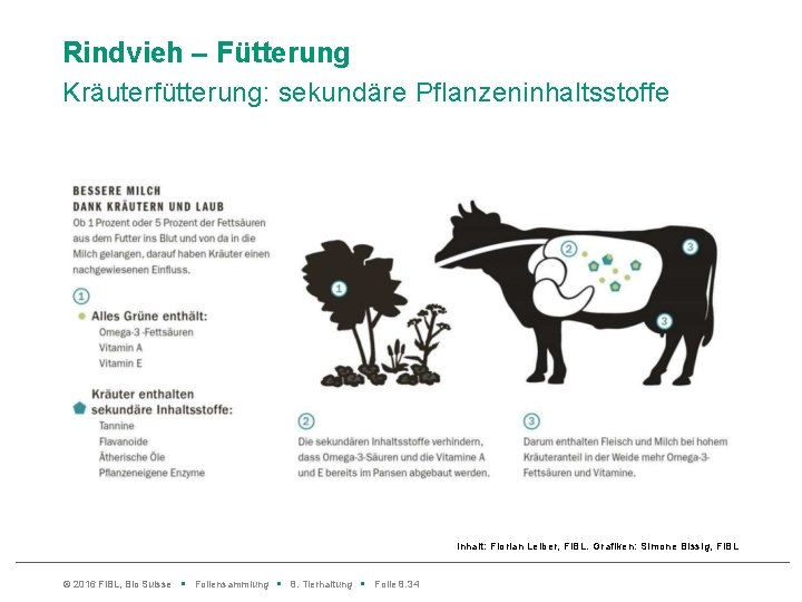 Rindvieh – Fütterung Kräuterfütterung: sekundäre Pflanzeninhaltsstoffe Inhalt: Florian Leiber, Fi. BL. Grafiken: Simone Bissig,