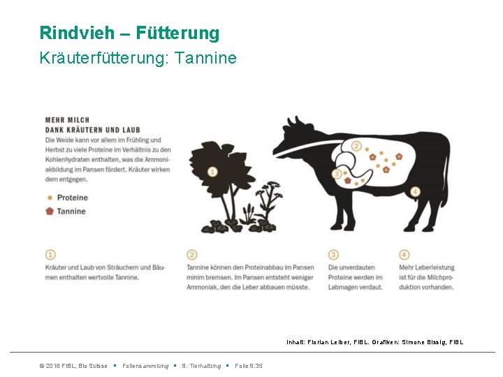 Rindvieh – Fütterung Kräuterfütterung: Tannine Inhalt: Florian Leiber, Fi. BL. Grafiken: Simone Bissig, Fi.