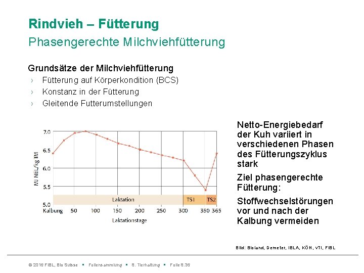 Rindvieh – Fütterung Phasengerechte Milchviehfütterung Grundsätze der Milchviehfütterung › › › Fütterung auf Körperkondition