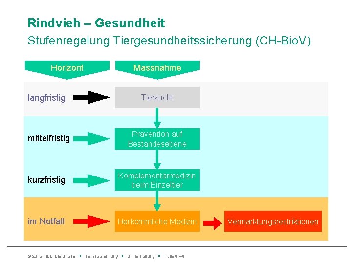 Rindvieh – Gesundheit Stufenregelung Tiergesundheitssicherung (CH-Bio. V) Horizont Massnahme langfristig Tierzucht mittelfristig Prävention auf