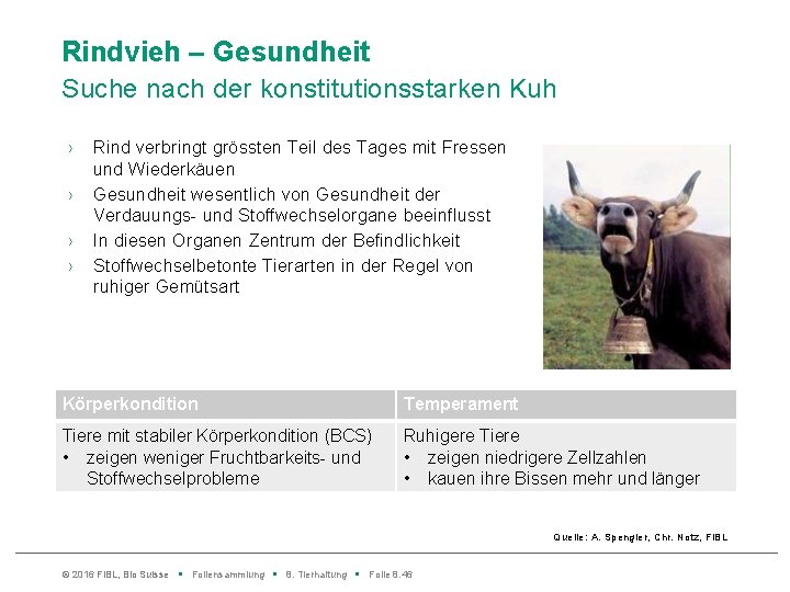 Rindvieh – Gesundheit Suche nach der konstitutionsstarken Kuh › › Rind verbringt grössten Teil
