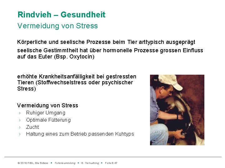 Rindvieh – Gesundheit Vermeidung von Stress Körperliche und seelische Prozesse beim Tier arttypisch ausgeprägt