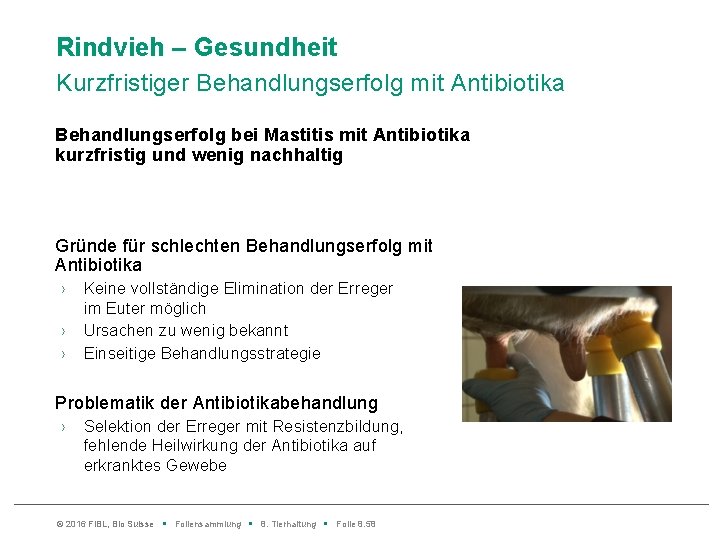 Rindvieh – Gesundheit Kurzfristiger Behandlungserfolg mit Antibiotika Behandlungserfolg bei Mastitis mit Antibiotika kurzfristig und