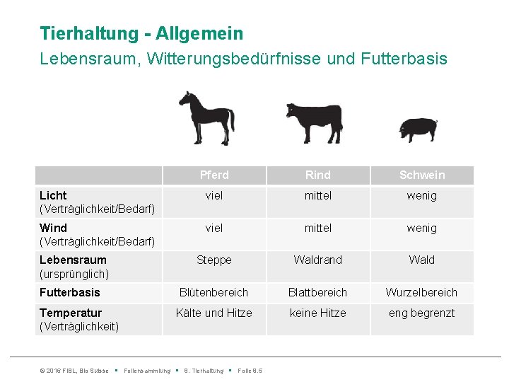 Tierhaltung - Allgemein Lebensraum, Witterungsbedürfnisse und Futterbasis Pferd Rind Schwein Licht (Verträglichkeit/Bedarf) viel mittel