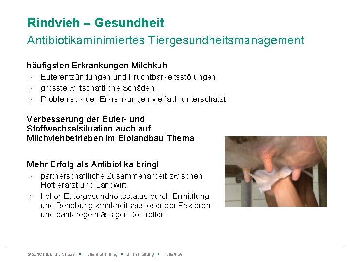 Rindvieh – Gesundheit Antibiotikaminimiertes Tiergesundheitsmanagement häufigsten Erkrankungen Milchkuh › › › Euterentzündungen und Fruchtbarkeitsstörungen