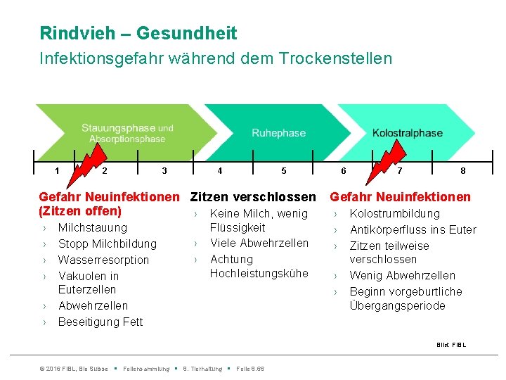 Rindvieh – Gesundheit Infektionsgefahr während dem Trockenstellen 1 2 3 4 5 Gefahr Neuinfektionen