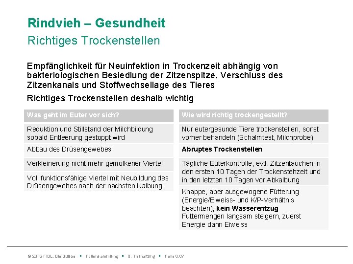 Rindvieh – Gesundheit Richtiges Trockenstellen Empfänglichkeit für Neuinfektion in Trockenzeit abhängig von bakteriologischen Besiedlung