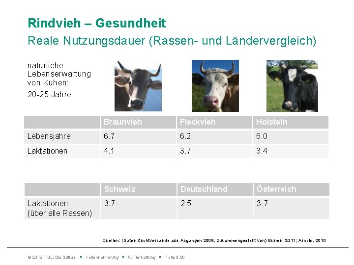 Rindvieh – Gesundheit Reale Nutzungsdauer (Rassen- und Ländervergleich) natürliche Lebenserwartung von Kühen: 20 -25