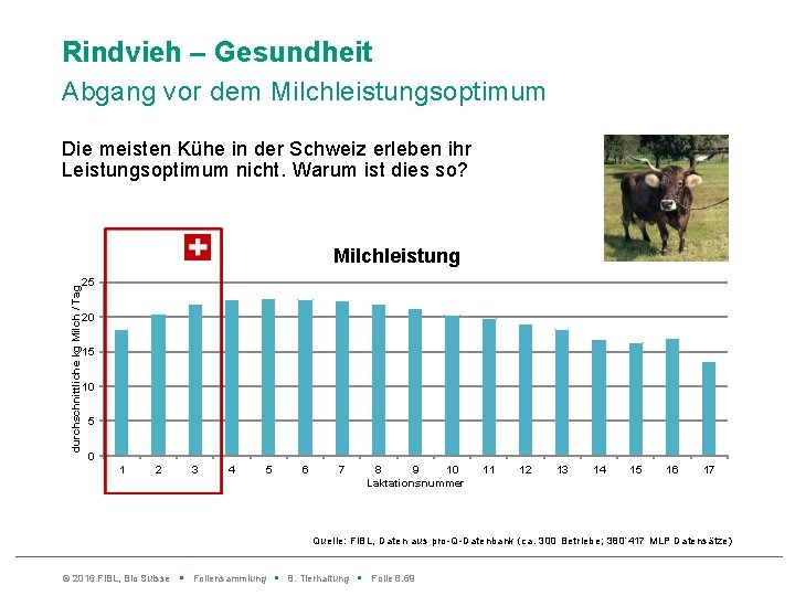 Rindvieh – Gesundheit Abgang vor dem Milchleistungsoptimum Die meisten Kühe in der Schweiz erleben