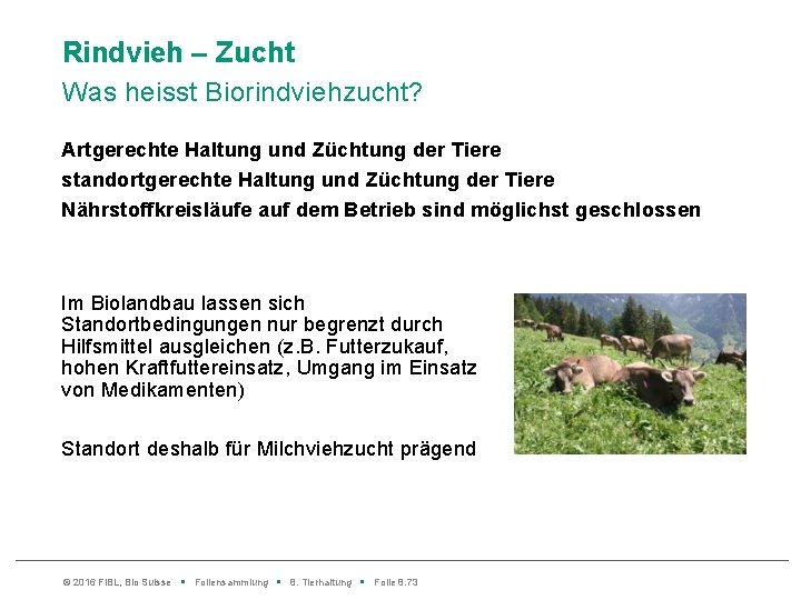 Rindvieh – Zucht Was heisst Biorindviehzucht? Artgerechte Haltung und Züchtung der Tiere standortgerechte Haltung