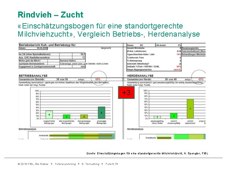 Rindvieh – Zucht «Einschätzungsbogen für eine standortgerechte Milchviehzucht» , Vergleich Betriebs-, Herdenanalyse +3 Quelle: