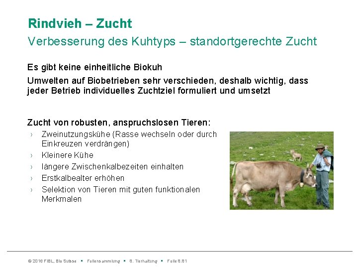 Rindvieh – Zucht Verbesserung des Kuhtyps – standortgerechte Zucht Es gibt keine einheitliche Biokuh