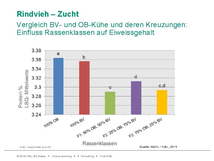 Rindvieh – Zucht Vergleich BV- und OB-Kühe und deren Kreuzungen: Einfluss Rassenklassen auf Eiweissgehalt