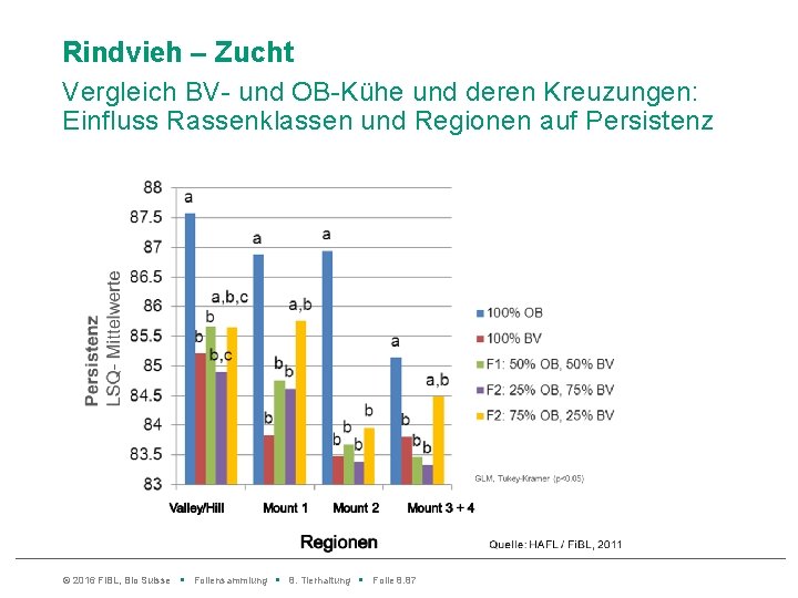 Rindvieh – Zucht Vergleich BV- und OB-Kühe und deren Kreuzungen: Einfluss Rassenklassen und Regionen