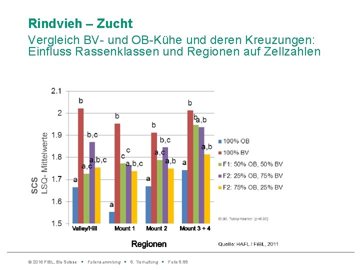 Rindvieh – Zucht Vergleich BV- und OB-Kühe und deren Kreuzungen: Einfluss Rassenklassen und Regionen