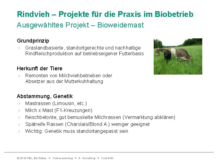 Rindvieh – Projekte für die Praxis im Biobetrieb Ausgewähltes Projekt – Bioweidemast Grundprinzip ›