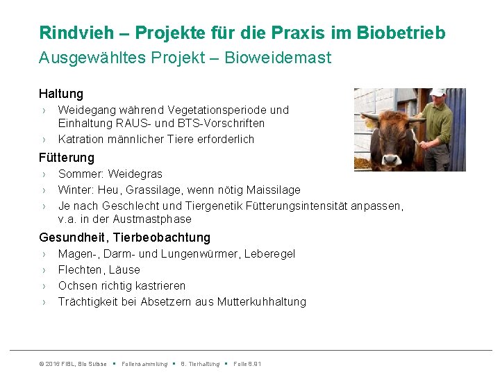 Rindvieh – Projekte für die Praxis im Biobetrieb Ausgewähltes Projekt – Bioweidemast Haltung ›