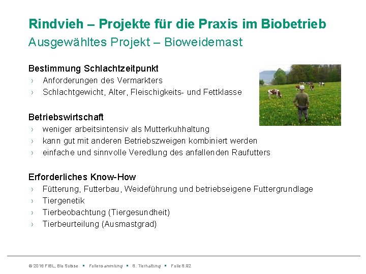 Rindvieh – Projekte für die Praxis im Biobetrieb Ausgewähltes Projekt – Bioweidemast Bestimmung Schlachtzeitpunkt