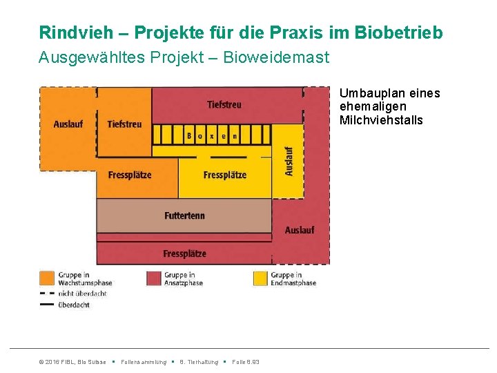 Rindvieh – Projekte für die Praxis im Biobetrieb Ausgewähltes Projekt – Bioweidemast Umbauplan eines