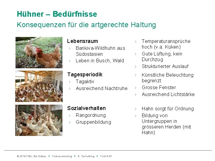 Hühner – Bedürfnisse Konsequenzen für die artgerechte Haltung Lebensraum › › Bankiva-Wildhuhn aus Südostasien