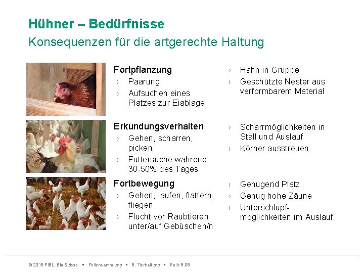 Hühner – Bedürfnisse Konsequenzen für die artgerechte Haltung Fortpflanzung › › Paarung Aufsuchen eines