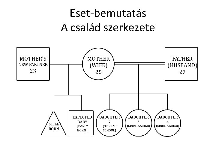 Eset-bemutatás A család szerkezete 