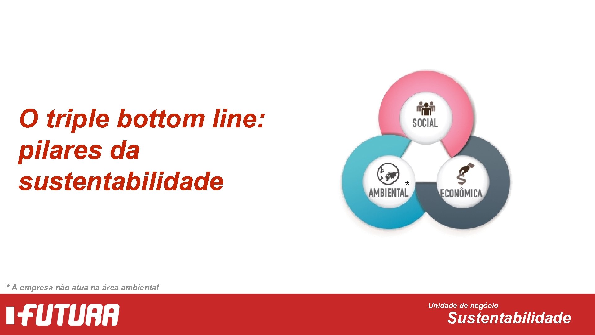 O triple bottom line: pilares da sustentabilidade * * A empresa não atua na