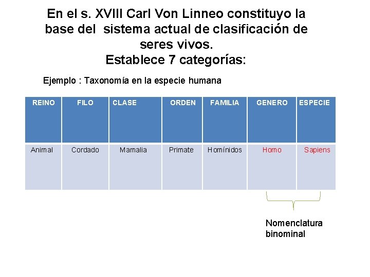 En el s. XVIII Carl Von Linneo constituyo la base del sistema actual de