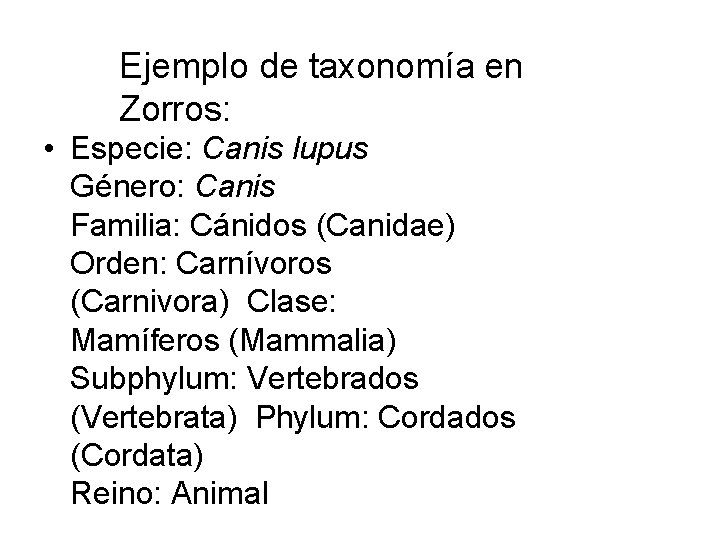 Ejemplo de taxonomía en Zorros: • Especie: Canis lupus Género: Canis Familia: Cánidos (Canidae)