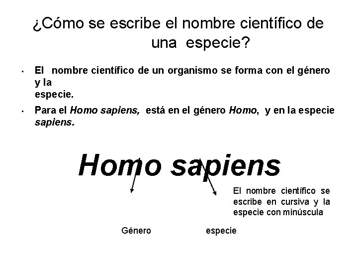 ¿Cómo se escribe el nombre científico de una especie? • El nombre científico de