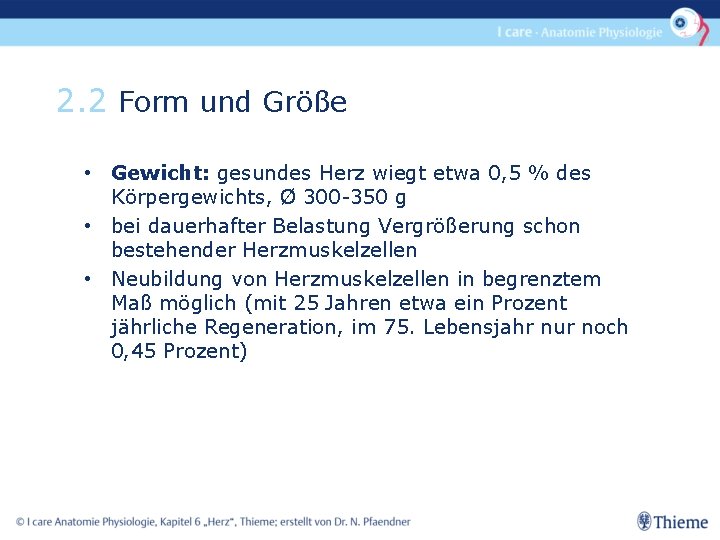 2. 2 Form und Größe • Gewicht: gesundes Herz wiegt etwa 0, 5 %