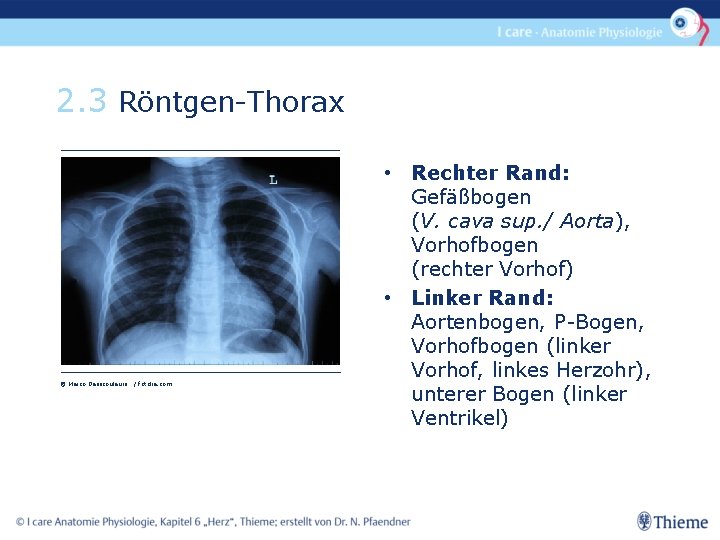 2. 3 Röntgen-Thorax © Marco Desscouleurs / fotolia. com • Rechter Rand: Gefäßbogen (V.