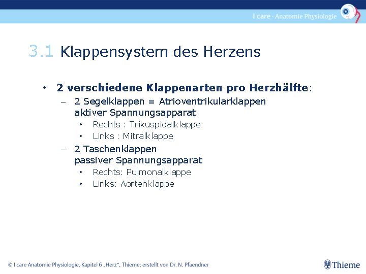 3. 1 Klappensystem des Herzens • 2 verschiedene Klappenarten pro Herzhälfte: - 2 Segelklappen