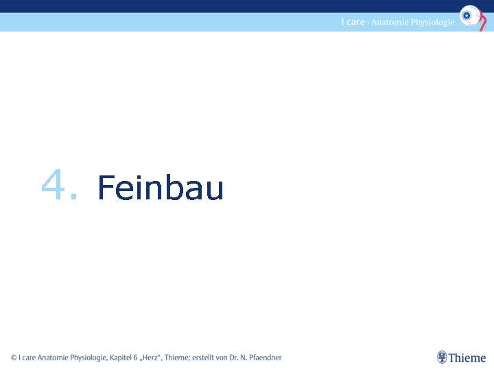 4. Feinbau 