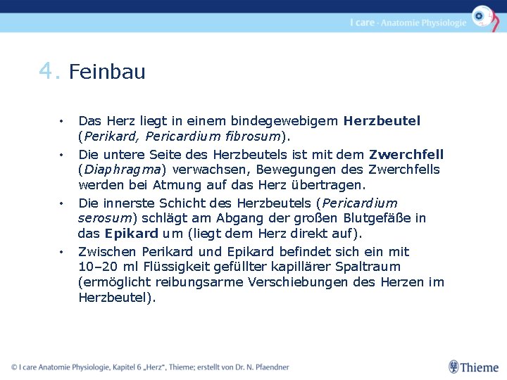 4. Feinbau • • Das Herz liegt in einem bindegewebigem Herzbeutel (Perikard, Pericardium fibrosum).