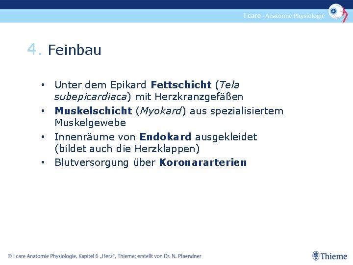 4. Feinbau • Unter dem Epikard Fettschicht (Tela subepicardiaca) mit Herzkranzgefäßen • Muskelschicht (Myokard)