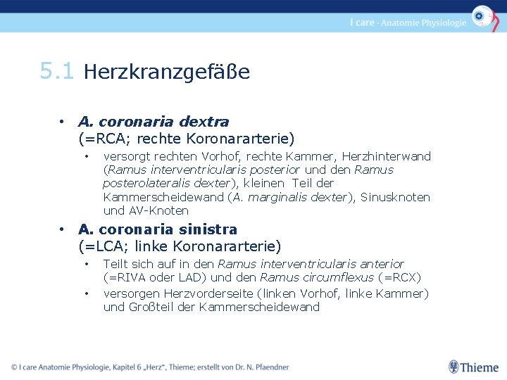 5. 1 Herzkranzgefäße • A. coronaria dextra (=RCA; rechte Koronararterie) • versorgt rechten Vorhof,