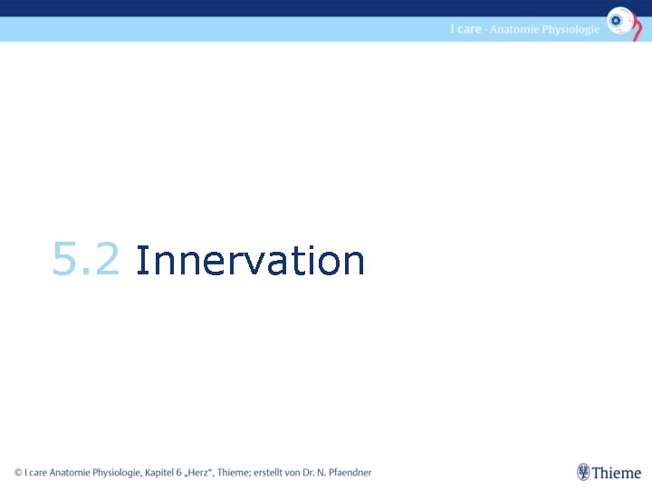 5. 2 Innervation 