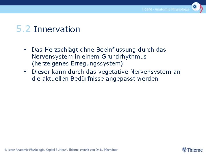 5. 2 Innervation • Das Herzschlägt ohne Beeinflussung durch das Nervensystem in einem Grundrhythmus