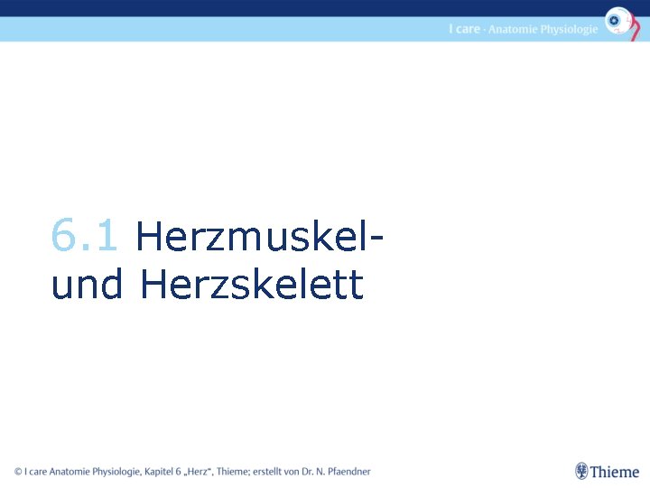 6. 1 Herzmuskel- und Herzskelett 