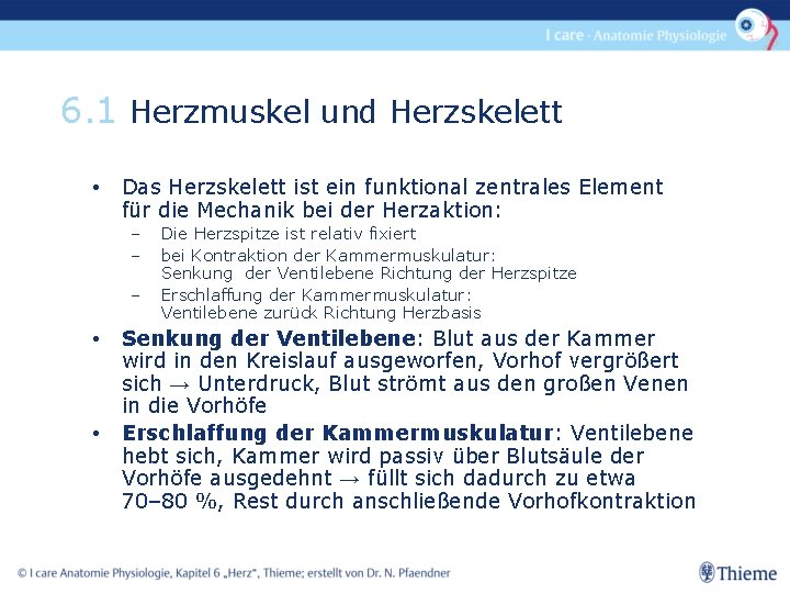 6. 1 Herzmuskel und Herzskelett • Das Herzskelett ist ein funktional zentrales Element für