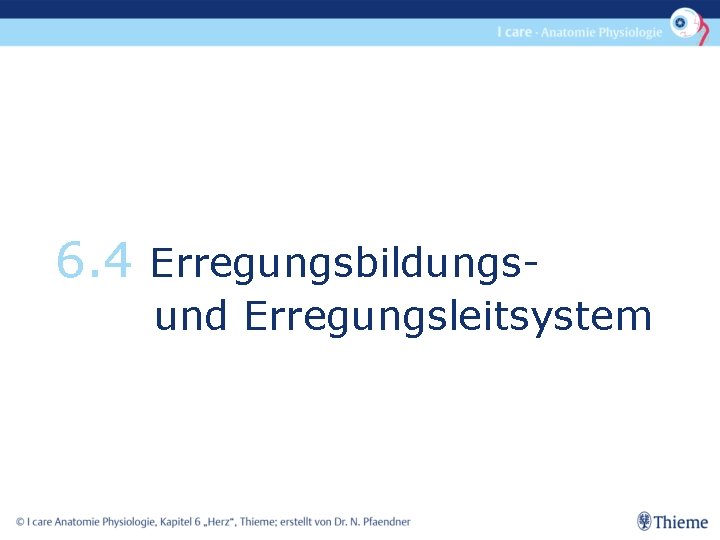 6. 4 Erregungsbildungs- und Erregungsleitsystem 
