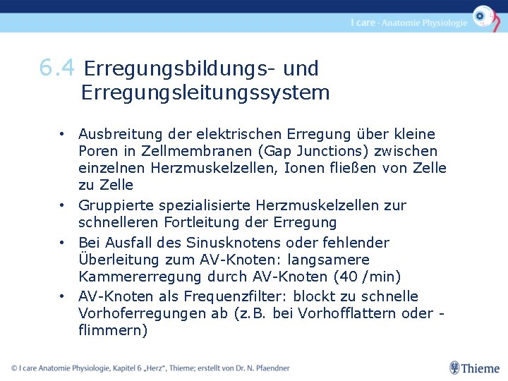 6. 4 Erregungsbildungs- und Erregungsleitungssystem • Ausbreitung der elektrischen Erregung über kleine Poren in