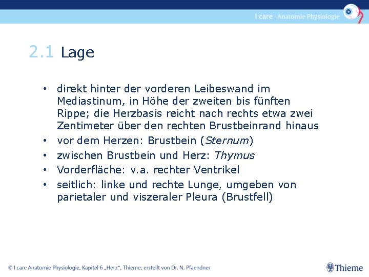 2. 1 Lage • direkt hinter der vorderen Leibeswand im Mediastinum, in Höhe der