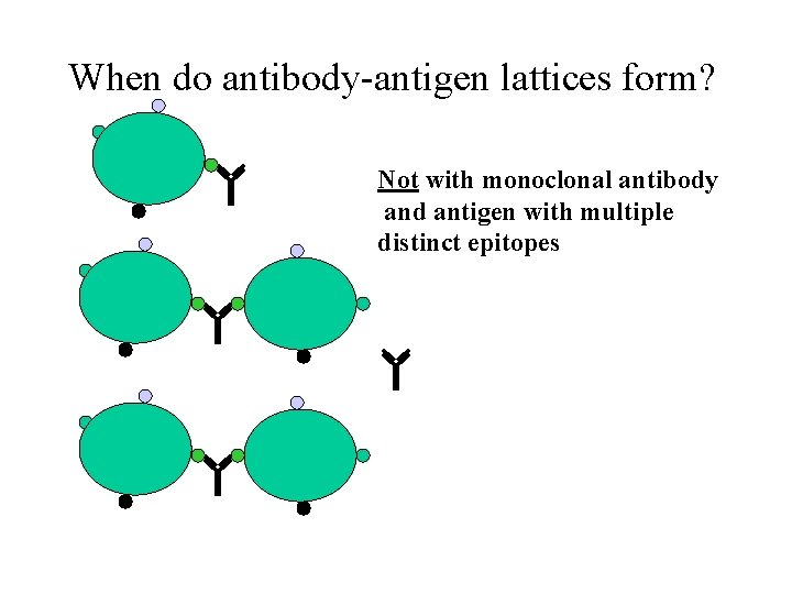 When do antibody-antigen lattices form? Not with monoclonal antibody and antigen with multiple distinct