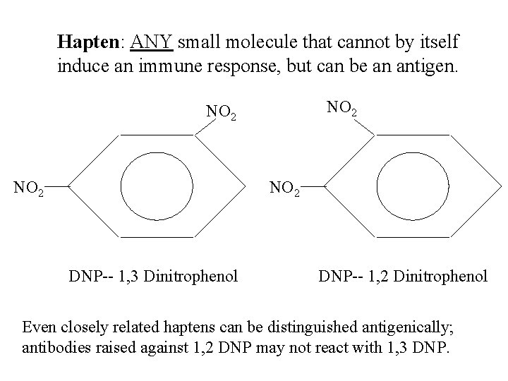 Hapten: ANY small molecule that cannot by itself induce an immune response, but can
